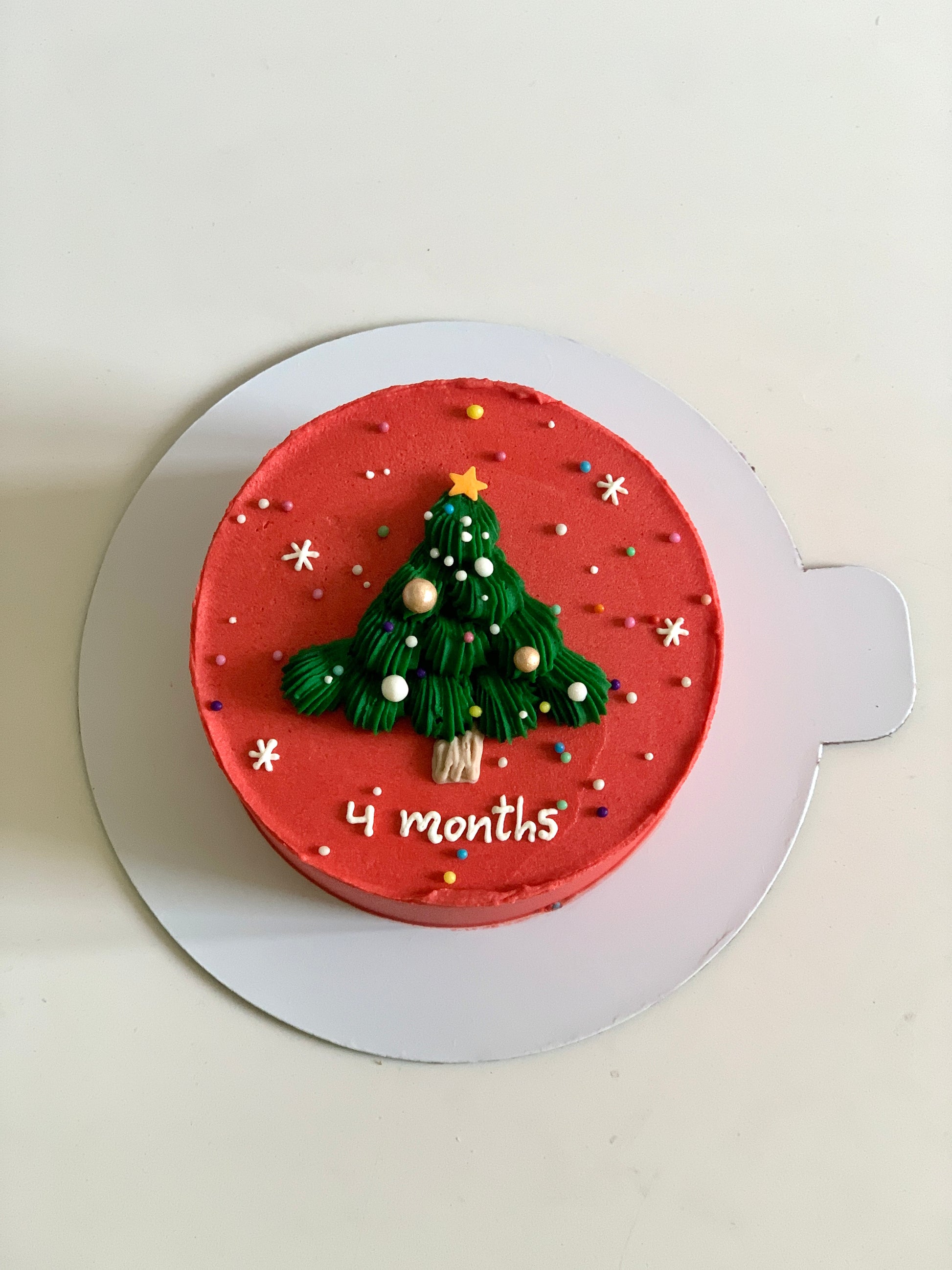 Christmas Cake
